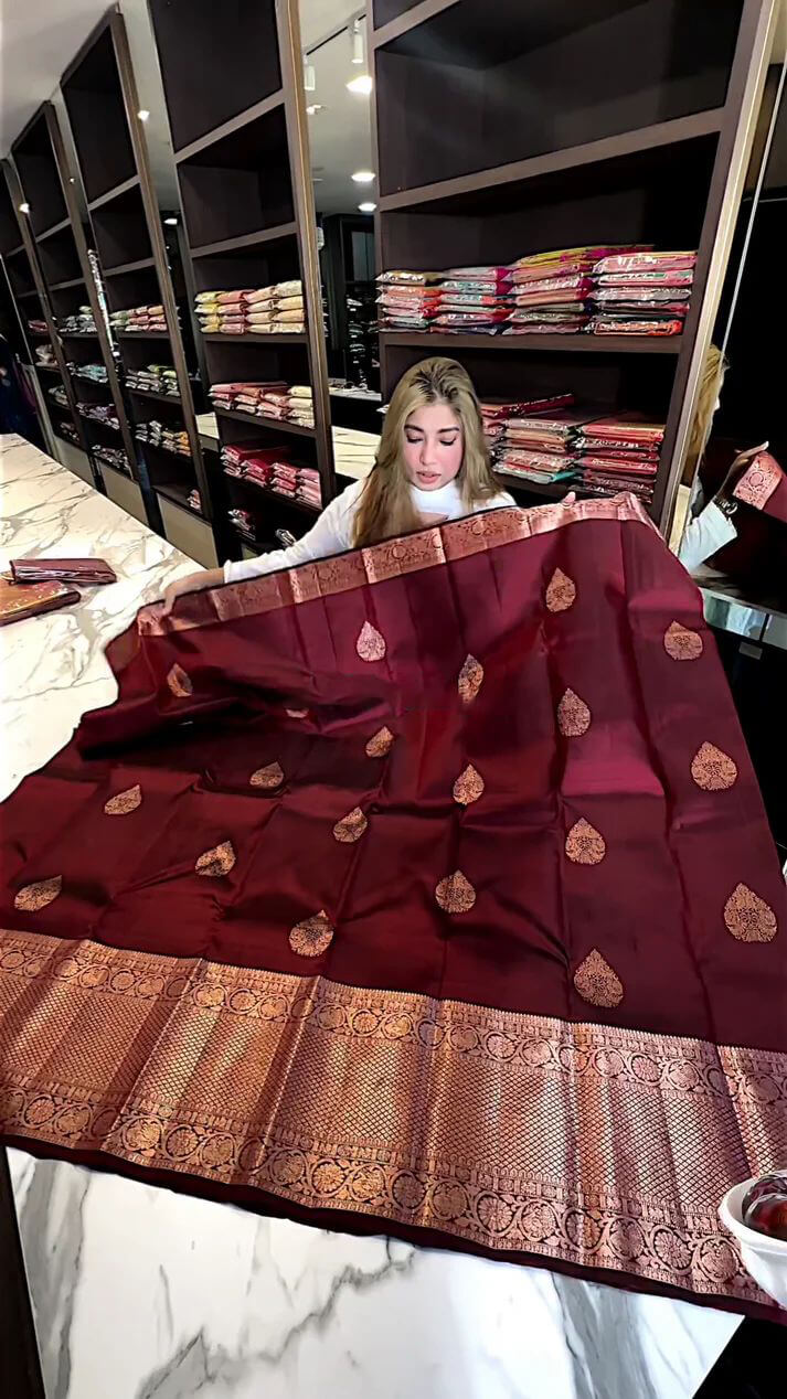 Elegant Wine Soft Silk Saree With Evocative Blouse Piece