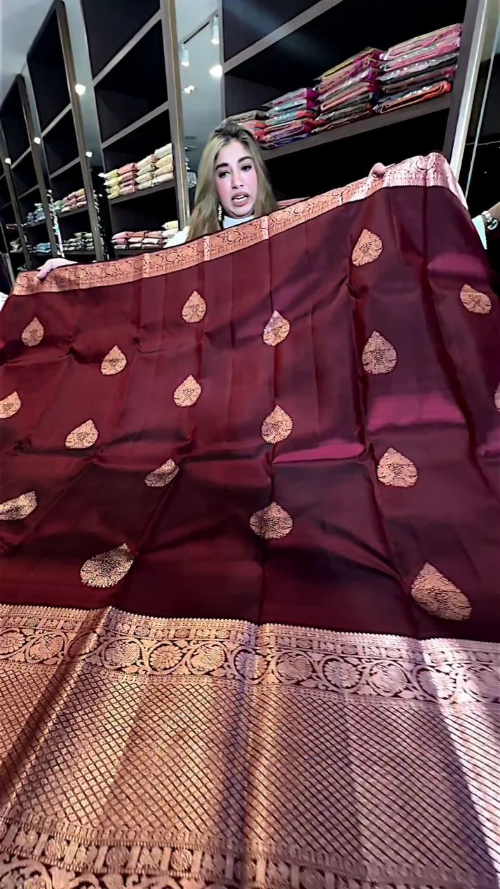 Elegant Wine Soft Silk Saree With Evocative Blouse Piece